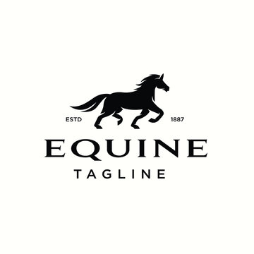 Horse Logo. Equine Symbol Design Template Vector Illustration