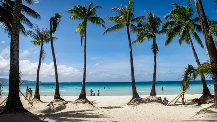 Wall murals Boracay White Beach Coconut trees on a paradise white beach on Boracay Island Philippines 