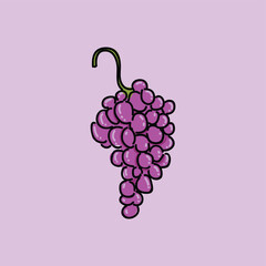 Bunch of purple grapes. Grape product, vector illustration isolated on purple background.
