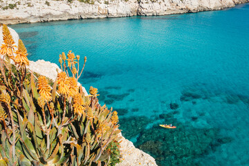 Paysage de Majorque avec une fleur d'agave. Agave et littoral méditerranéen. Bord de mer méditerranée. Fleur orange au bord de mer. Vacances aux Baléares. Kayak et canoé