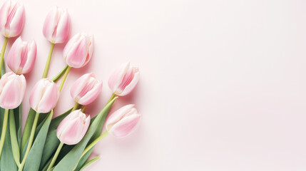 Beautiful colorful tulip flowers on pink background, top view. Space for text