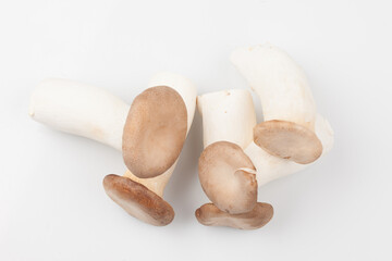   Mushrooms that are similar in shape to pine mushrooms and have excellent fleshy texture  

