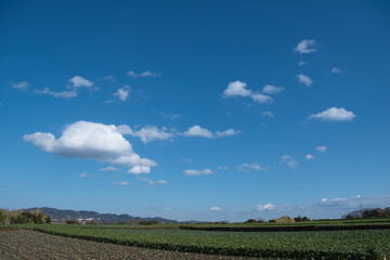 神奈川県三浦の田舎の風景