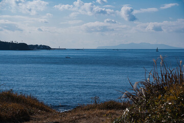 神奈川県三浦の黒崎の鼻の磯