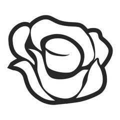 illustration of a rose vector illustration