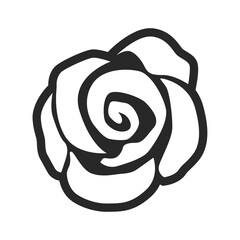 black and white rose