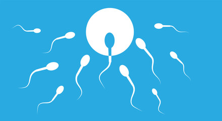 The sperm rushes forward and goes straight to the target, to the egg for ovulation, against a blue background. - obrazy, fototapety, plakaty