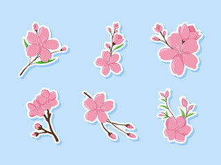 Floral Spring Cherry Blossom Sticker Set