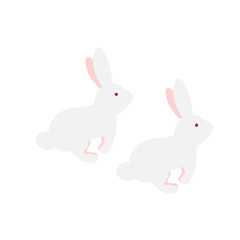 Cute white rabbits