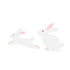 Cute white rabbits