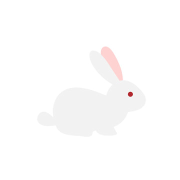 Cute white rabbits