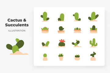 cactus and succulent flat illustration set