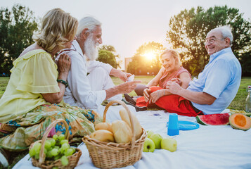 Group of seniors making a picnic at the park and having fun