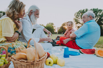 Group of seniors making a picnic at the park and having fun