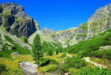Mala Studena Dolina in Vysoke Tatry (Tatra Mountains), Slovakia.
