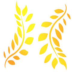 Branch Leaf yellow orange