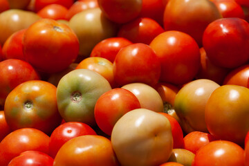 organic tomatoes backdrop , background with tomatoes in te shelves of a supermarket