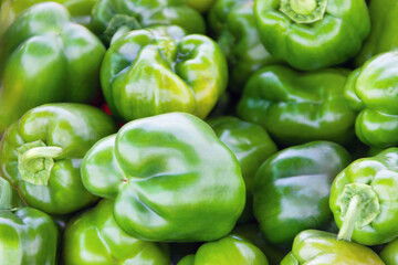organic green peppers backdrop , background with green peppers in the shelves of a supermarket