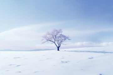A tree covered with snow in a vast winter landscape