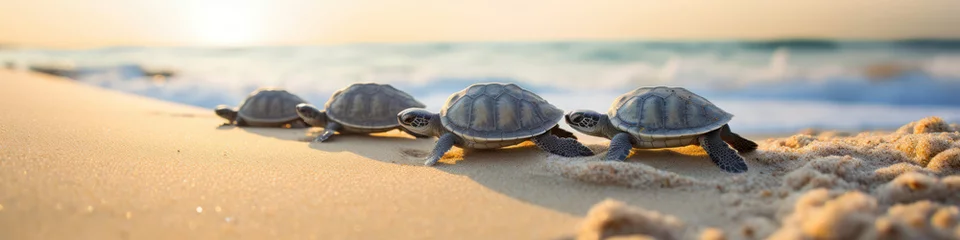 Fotobehang A row of turtles slowly making their way across the beach,  a serene and timeless scene © basketman23