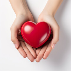 hands hold a red heart on a white background