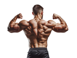 A bodybuilder on a transparent background. Ideal for a fitness presentation.
