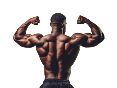 A bodybuilder on a transparent background. Ideal for a fitness presentation.