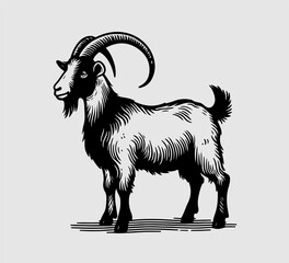 Goat hand drawn illustration vector