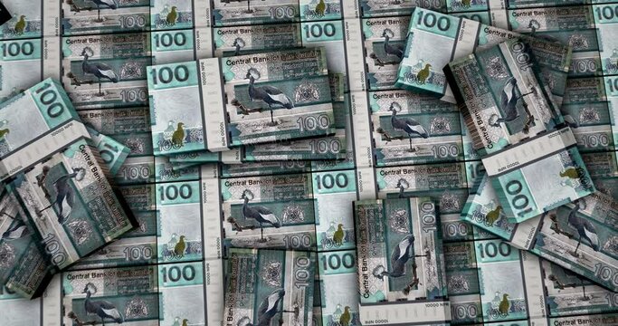 Gambia money Gambian dalasis banknotes 3d animation. 100 GMD packs concept of inflation, economy, crisis, business, banking, debt and finance.