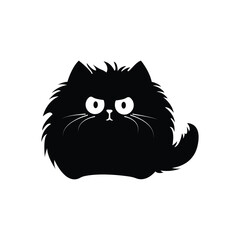 Cute Fluffy Black Cat