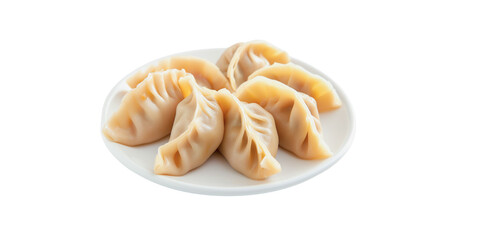 Gyoza, Chinese food, Asian food arranged in a plate on a white background