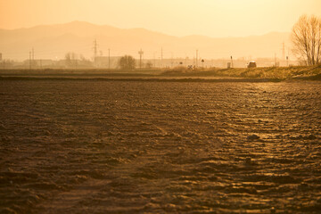 Risai del vercellese d'inverno