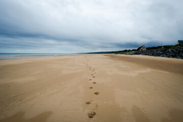 Fototapeta na wymiar Footprints on Omaha Beach France