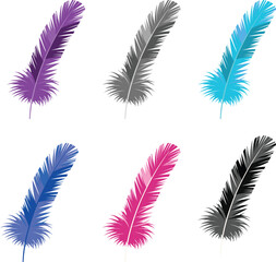 Colorful Feathers Set, Feathers Elements, Birds Feathers Design