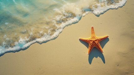 Fototapeta na wymiar starfish on the beach sand
