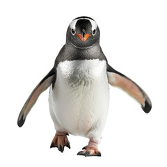 A penguin waddling on a transparent background. - obrazy, fototapety, plakaty