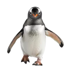 Fotobehang A penguin waddling on a transparent background. © Jan