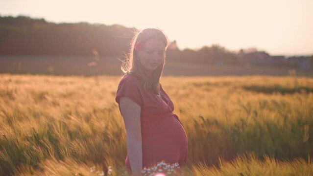 happy pregnant woman in nature walking in wheat field at sunset