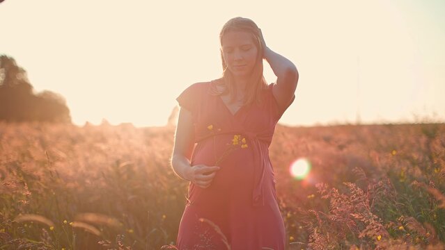 beautiful young pregnant woman on field at sunset - dreamlike looking of a lady in anticipation