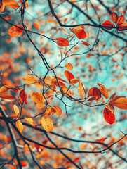 someone waits the autumn leaves.