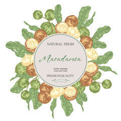 Round label with Macadamia nuts. Hand drawn Macadamia branches with nuts and leaves. Vector illustration botanical.