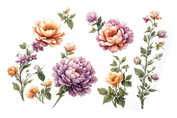 set of flower isolate background AI Generated.