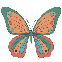 Colourful butterfly  isolated