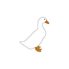 white colored duck