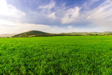 green landscape of spring field with green young grass and amazing hills on background