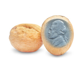 Two walnuts and american cent