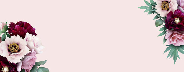 Floral banner, header with copy space. Pink  peony and roses isolated on pastel background. Natural flowers wallpaper or greeting card.