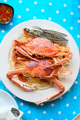Two freshly cooked crabs on the white plate serviced with white cabbage