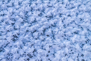 Snowy background texture and snowy surface in winter under the sun on a clear frosty day.