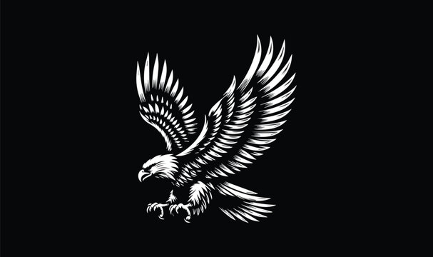 eagle flying logo, flying logo,
